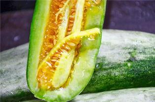 潍坊吃瓜网红有哪些公司,潍坊吃瓜网红背后的公司概览 第3张 潍坊吃瓜网红有哪些公司,潍坊吃瓜网红背后的公司概览 第3张